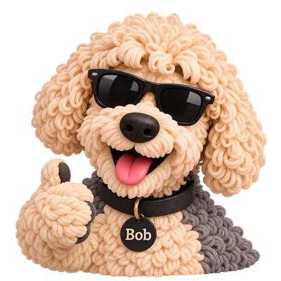 Bob: Sunglasses